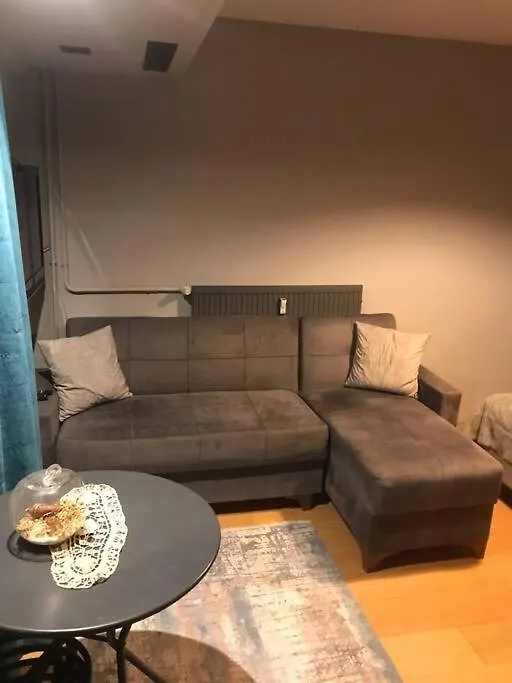 Apartment Otel Konforunda Site Ici Guvenlikli Studyo Daire Istanbul